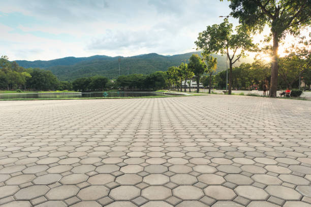 Best Concrete Paver Driveway  in Woodsboro, TX