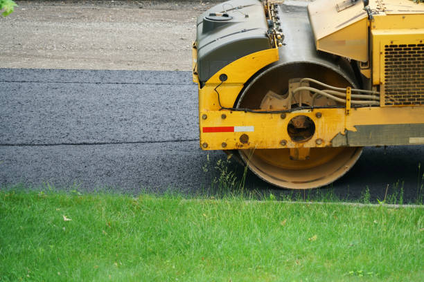 Best Professional Driveway Pavers  in Woodsboro, TX